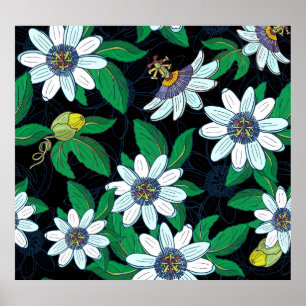 Passionflower Black Background Blume Nahtlos Poster