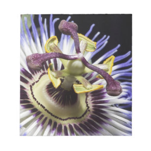 Passionflower nah-up (MR) Notizblock
