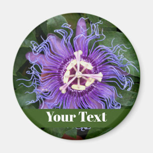 PassionFlower-Schaltfläche mit Name Magnet