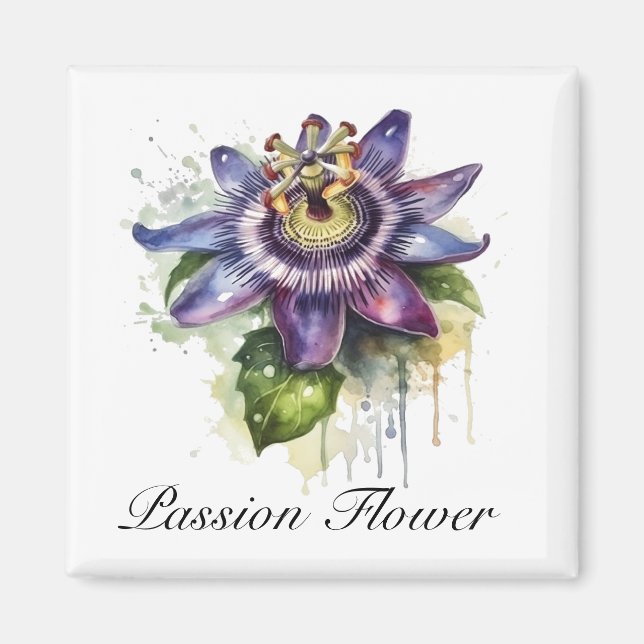 Passionierte Lila Passion-Blume Magnet (Vorne)
