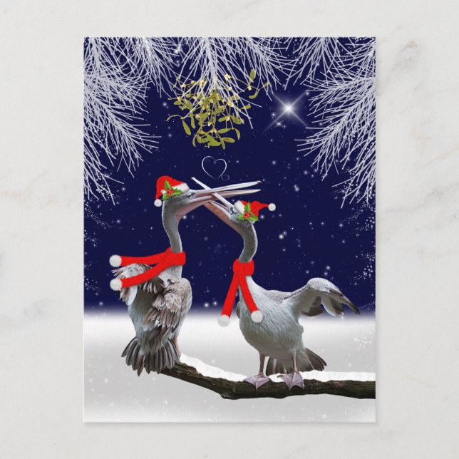 Passionierte Pelikaner Weihnachten Postkarte (Vorderseite)