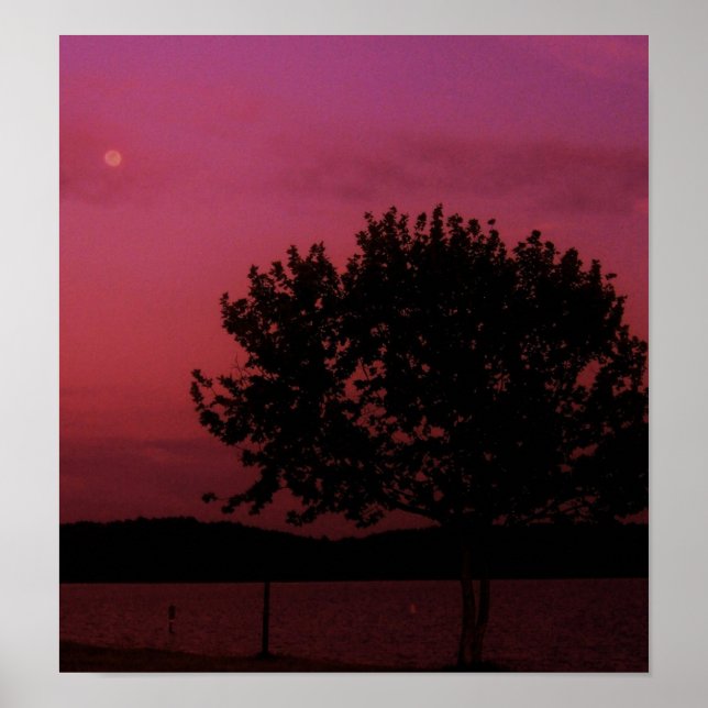 Passionsbaum Poster (Vorne)