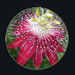 Passionsblume Dartscheibe<br><div class="desc">Nah-up/Makro-Fotos von Früchten,  Pflanze,  Blume und anderen Gegenständen.</div>
