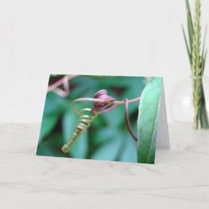 Passionsblume Karte