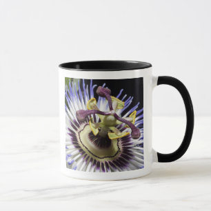Passionsblume Nahaufnahme (MR) Tasse