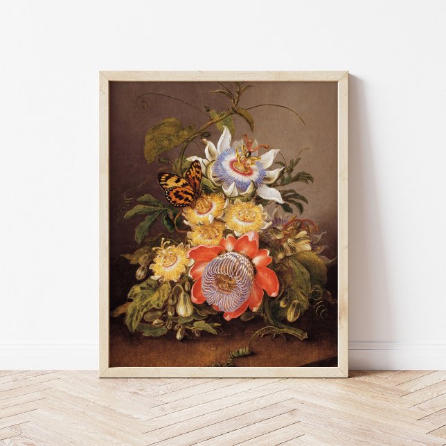 Passionsblumen | Ferdinand Bauer Poster (Von Creator hochgeladen)