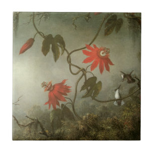 Passionsblumen und Kolibris von Martin J Heade Fliese