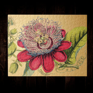Passionsblumen-Vintage-Rot-Gold-Illustration