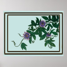 Passionsblumenranken-Druck, Poster (Halbglanz)