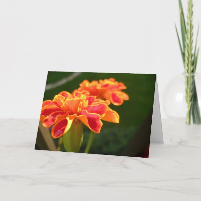 Passionskarte Karte (Vorderseite)