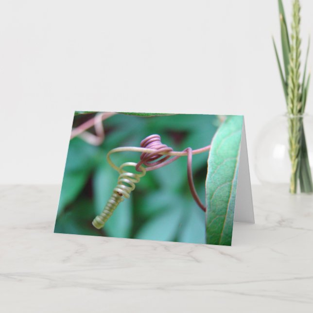 Passionsweine Karte (Vorderseite)