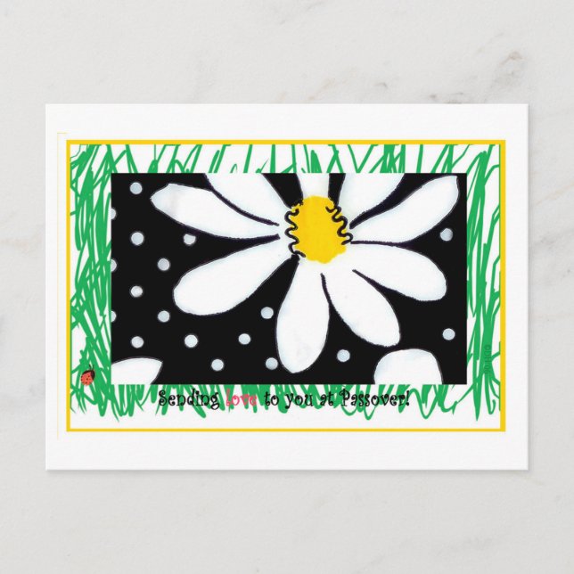 Passover Daisy Postcard Postkarte (Vorderseite)