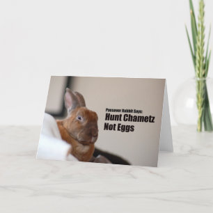 Passover Rabbit Says: Karte