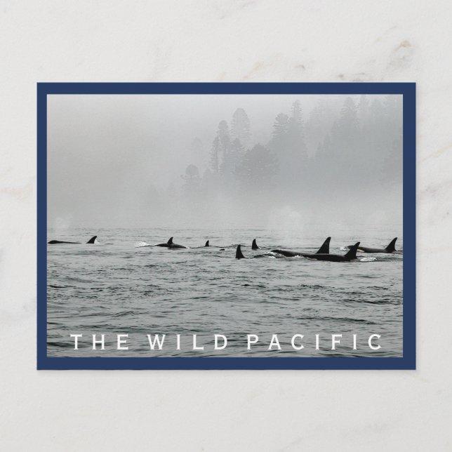 Passwale Postkarte (Vorderseite)