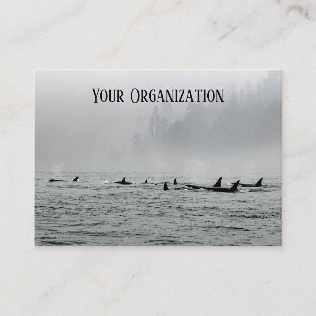 Passwale Visitenkarte (Vorderseite)