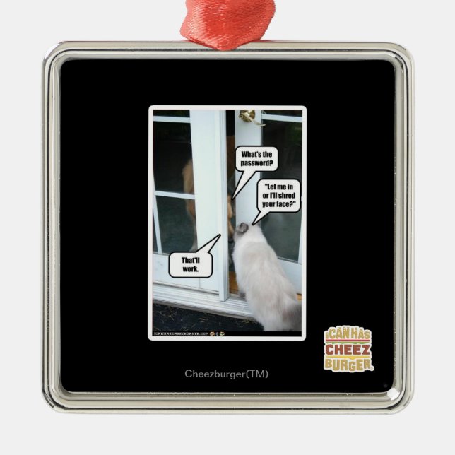 Passwort Silbernes Ornament (Vorne)