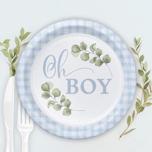 Pastel Blue Gingham Baby Boy Baby Shower Pappteller (Von Creator hochgeladen)