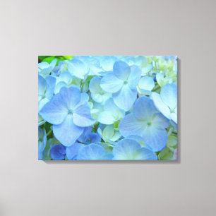 Pastel Blue Hydrangea Blume druckt Floraliner Leinwanddruck