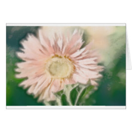 Pastel de marguerite de Gerbera