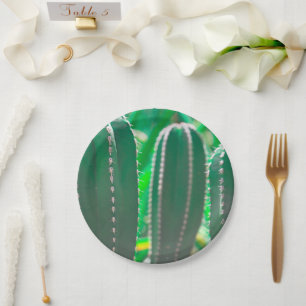 Pastel Grüne Kaktus Pflanze Blätter Pastellfarben Pappteller