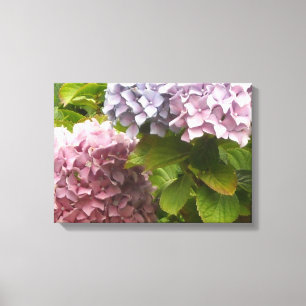 Pastel Hydrangeas Leinwanddruck