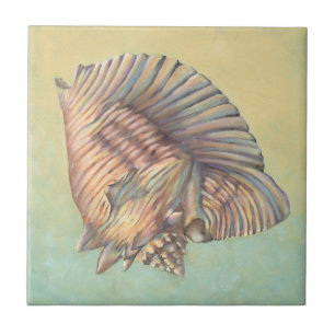 Pastel Large Conch Muschel Fliese