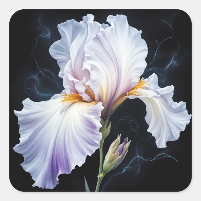 Pastel Lila Iris Blossom Quadratischer Aufkleber (Vorderseite)