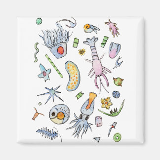 Pastel Marine Plankton in Watercolor Magnet