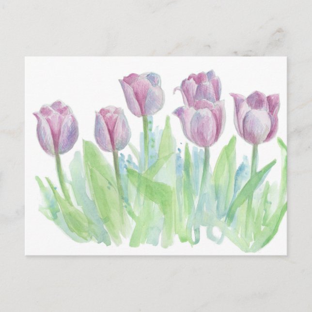 Pastel Mauve Lavender Tulip Blume Postkarte (Vorderseite)