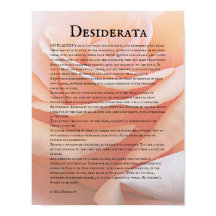 Pastel Orange Rose und Desiderata Gedicht