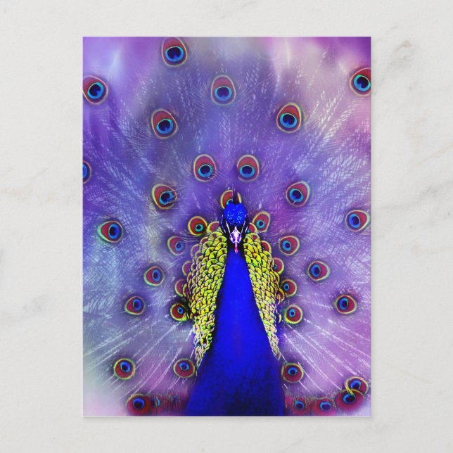 Pastel Peacock Blue Bird Postkarte (Vorderseite)