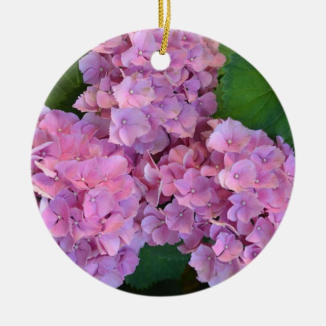 Pastel pink Hortensia hydrangea bloom  Keramik Ornament (Vorne)