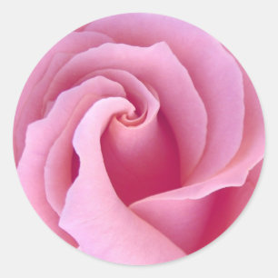 PASTEL PINK Rose - Hochzeitsfeier Umschlag Aufkleb Runder Aufkleber