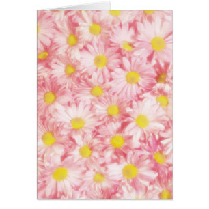 Pastel rose marguerites sympathie carte de voeux