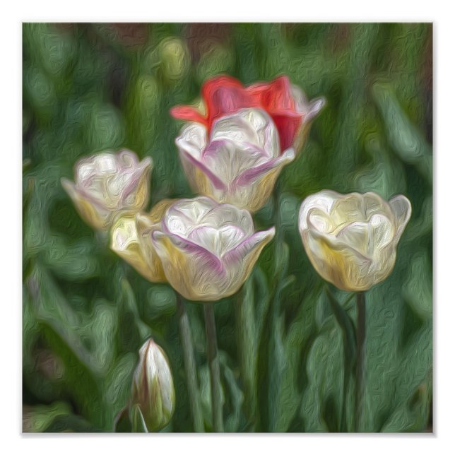 Pastel Tulips Fotodruck (Vorne)