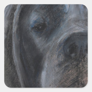 Pastel zeichnend Blue Great Dane Quadratischer Aufkleber