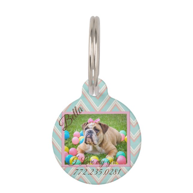 Pastel Zickzack Hund Benutzerdefiniertes Foto Haustiermarke (Vorderseite)