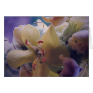 Pastell-Blume