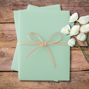 Pastell Hellgrün einfarbig   Klassisch Elegant Geschenkpapier Set