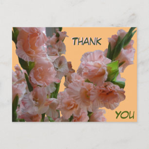 Pastell Orange Rosa Gladiolen Dankeschön-Postkarte Postkarte