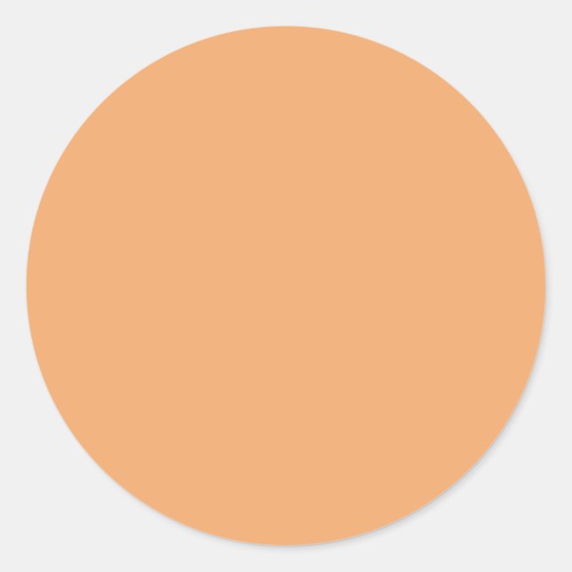 Pastell Orange Rundkleber Runder Aufkleber (Vorderseite)