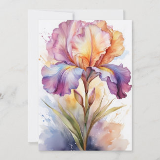 Pastell-Regenbogen-Iris-Blüte in Aquarell
