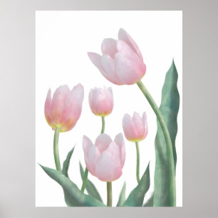Pastell-Tulpen-Blumendesign Poster