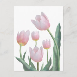 Pastell-Tulpen-Blumendesign Postkarte