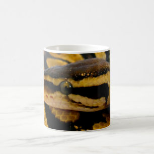 Pastellball-Pythonschlange Kaffeetasse