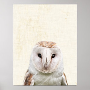 Pastellgelbe Peekaboo-Schleiereule Minimalistische Poster