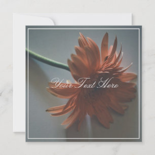Pastellrosa Chrysanthemum Ihre Text-Flachkarte