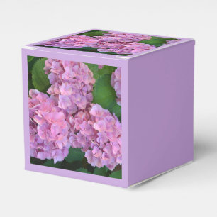 Pastellrosa Hortensia Hydrangea Blume Geschenkschachtel