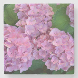 Pastellrosa Hortensia Hydrangea Blume Steinuntersetzer