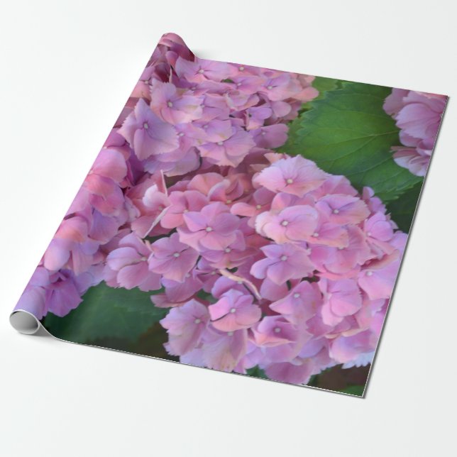 Pastellrosa Hortensia hydrangea Blüte Geschenkpapier (Ungerollt)